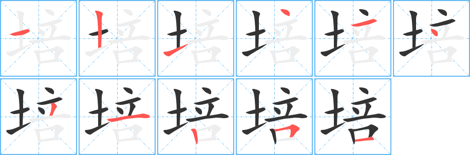 培 培