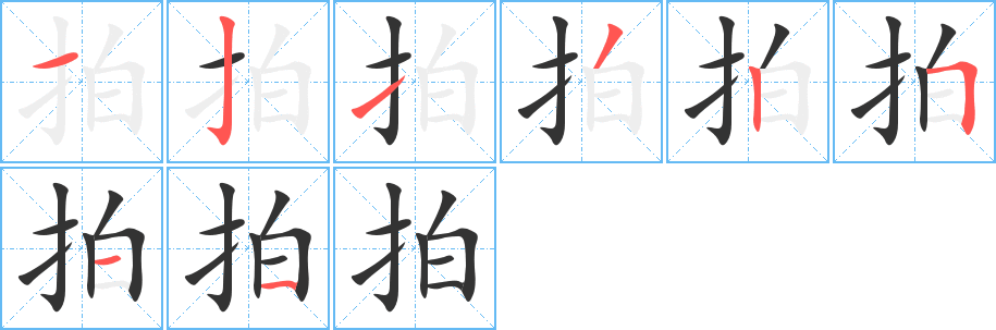 拍 拍