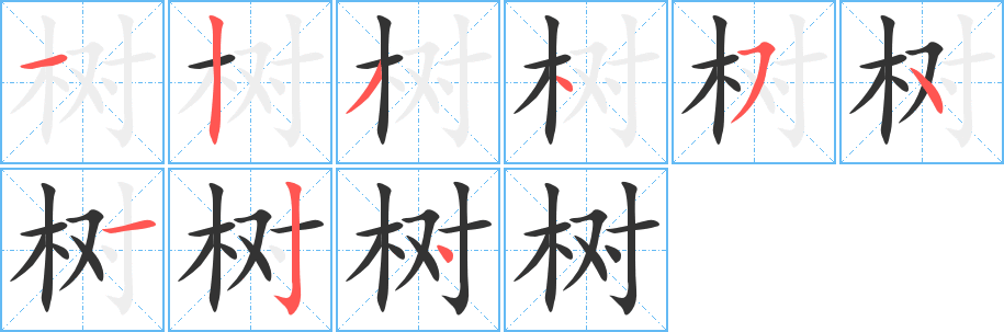 树 树