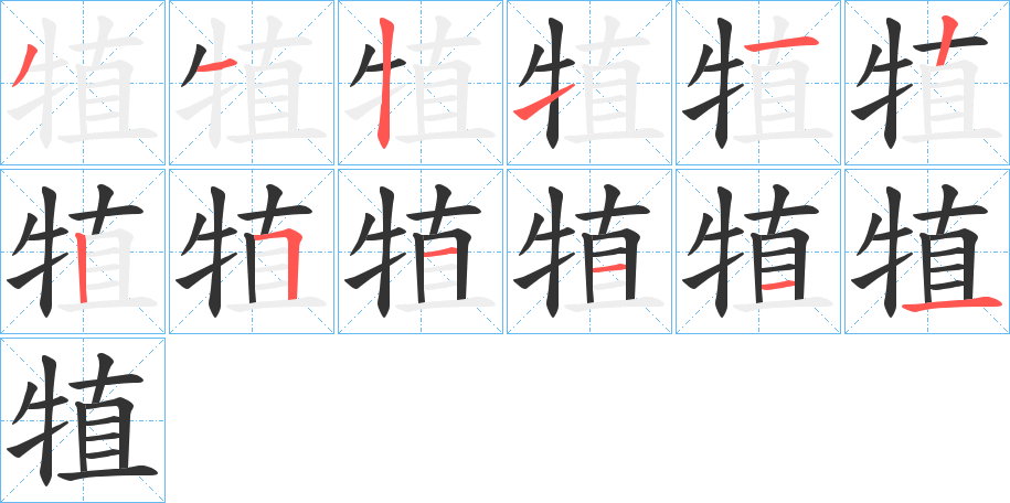 犆 犆