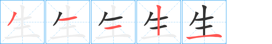 生 生