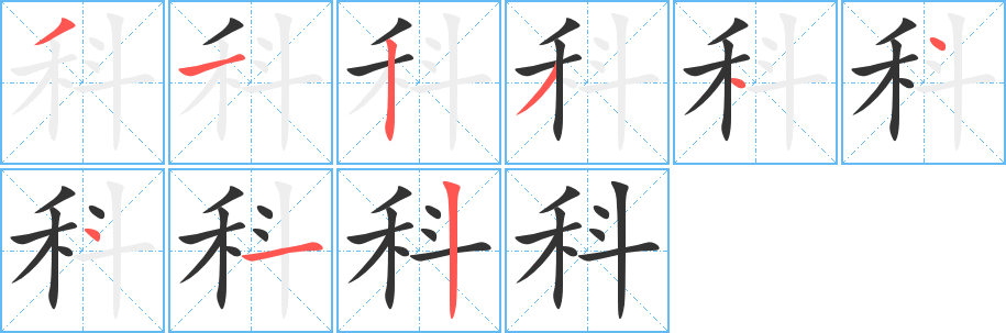 科 科