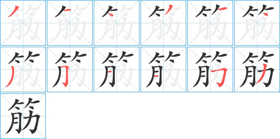 筋 筋