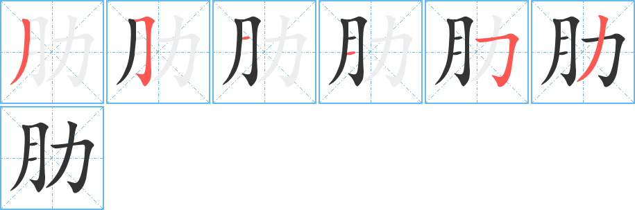 肋 肋