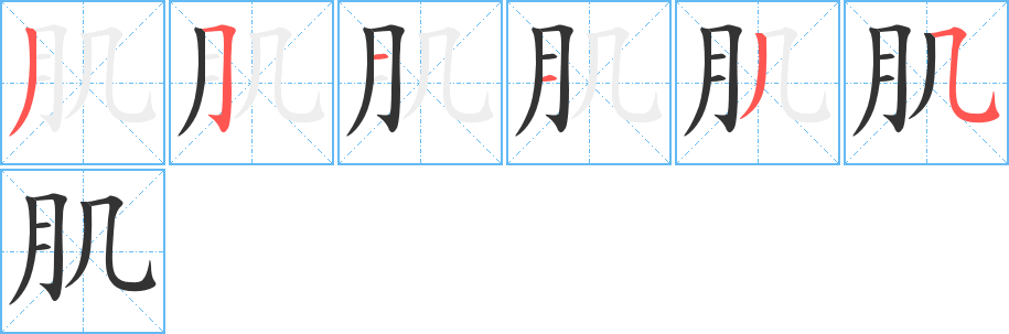 肌 肌