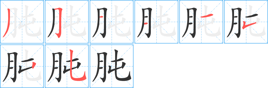 肫 肫