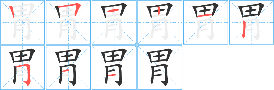 胃 胃