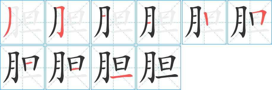 胆 胆