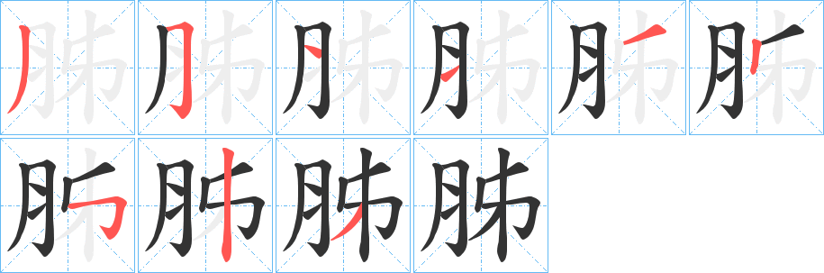 胏 胏