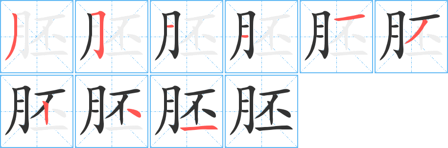 胚 胚