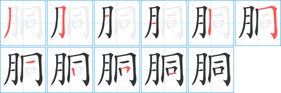 胴 胴