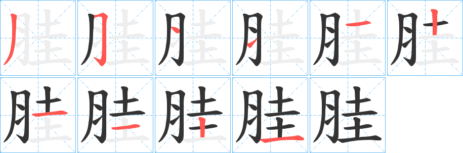 胿 胿