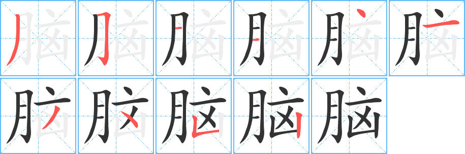 脑 脑