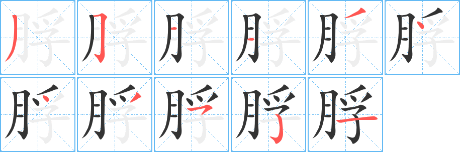 脬 脬