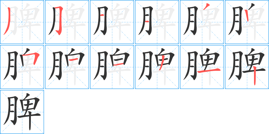 脾 脾