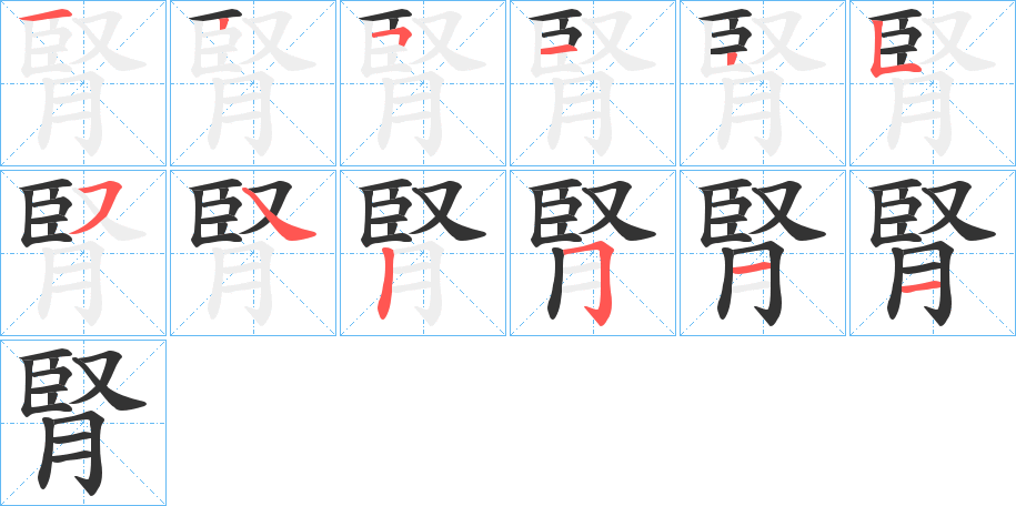 腎 腎