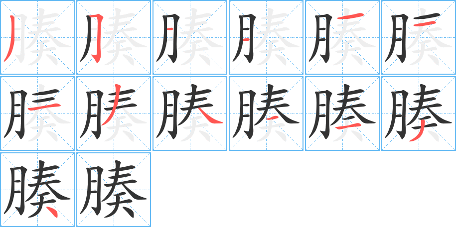 腠 腠