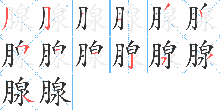 腺 腺