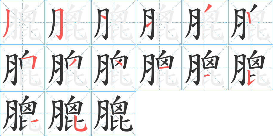 膍 膍