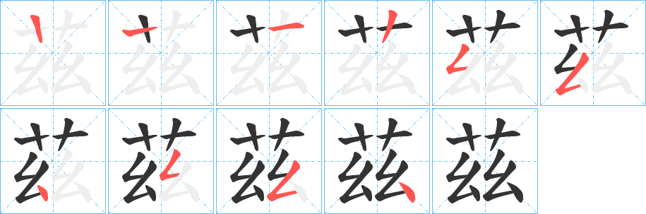 茲 茲