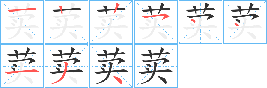 荬 荬