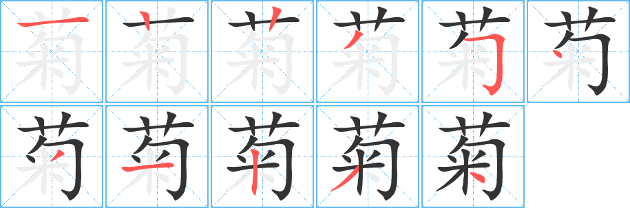 菊 菊