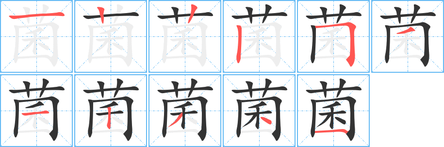 菌 菌