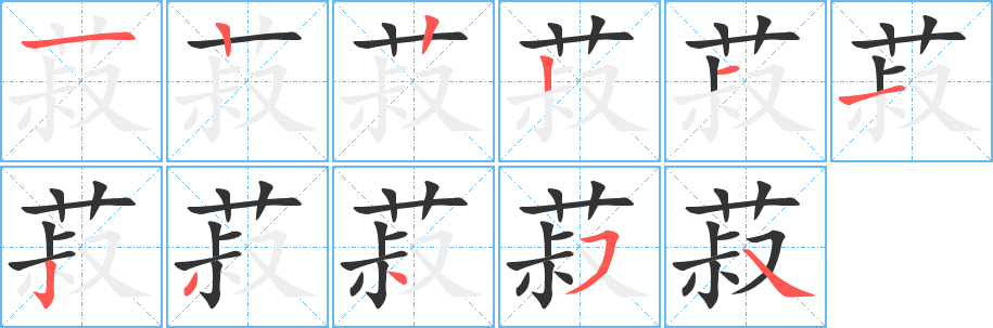 菽 菽