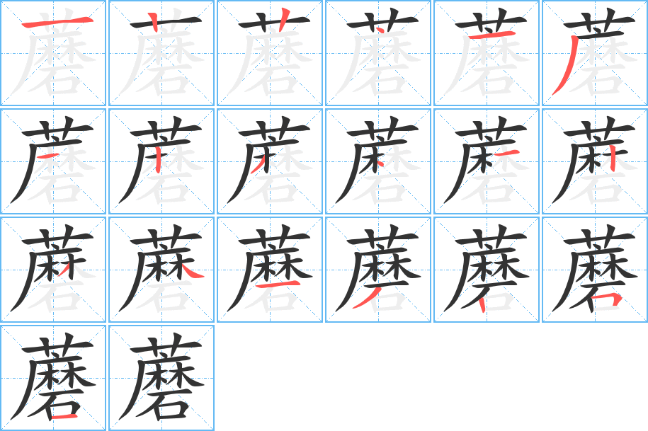 蘑 蘑