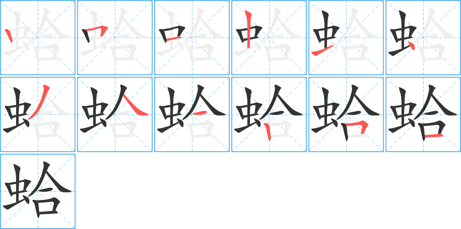 蛤 蛤