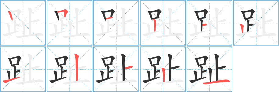 趾