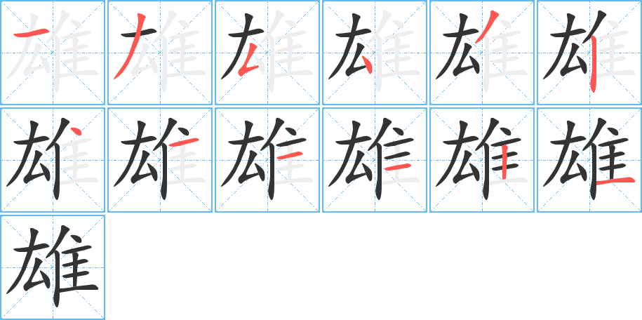 雄 雄