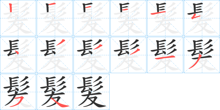 髪 髪