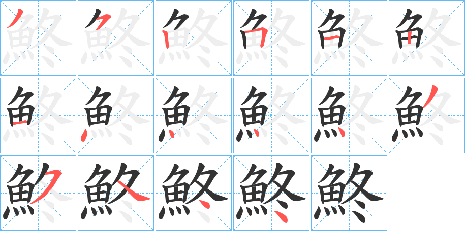 鮗 鮗