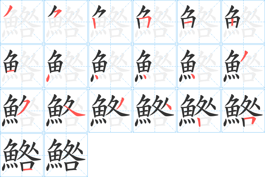 鯦 鯦
