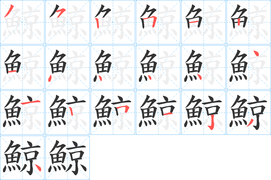 鯨 鯨