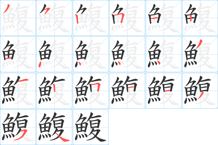 鰒 鰒