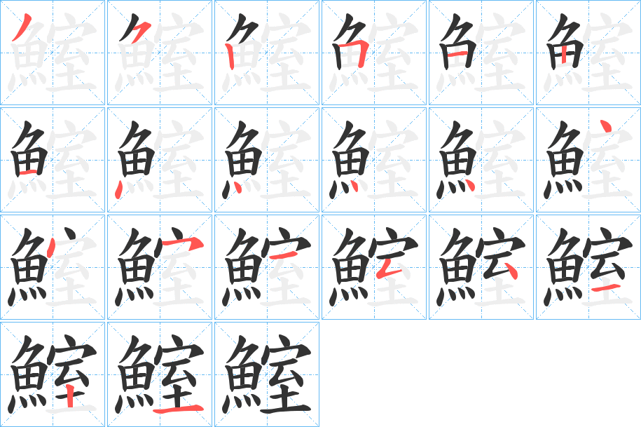 鰘 鰘