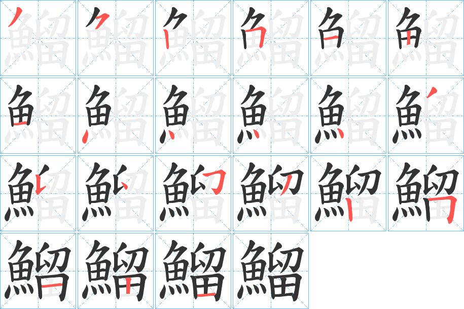 鰡 鰡