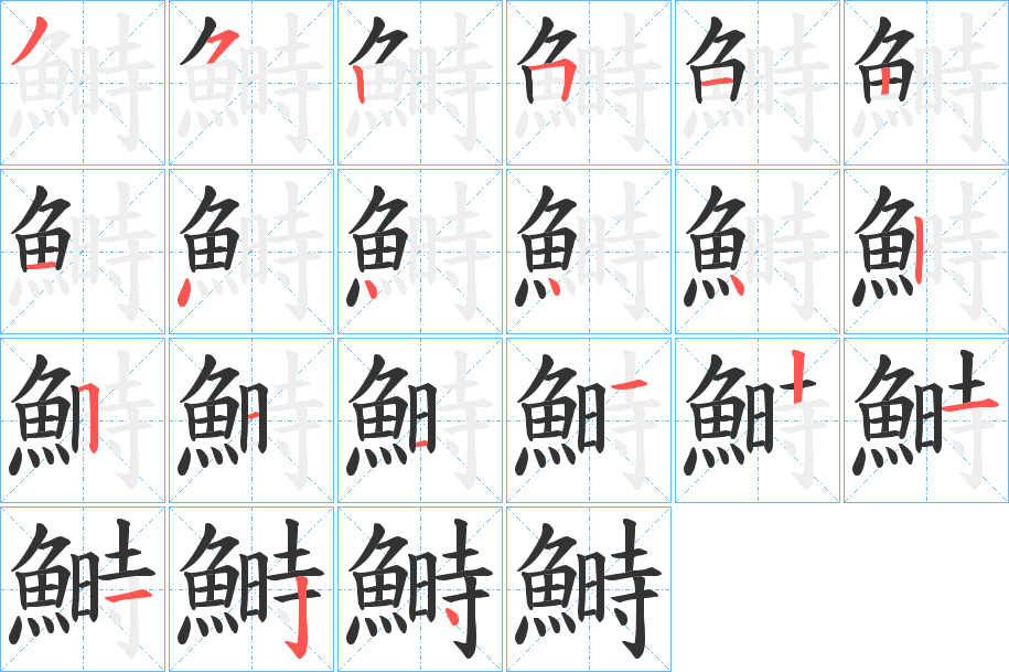 鰣 鰣