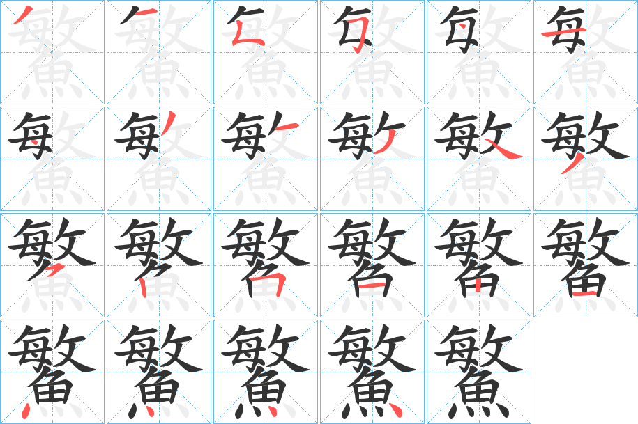 鰵 鰵