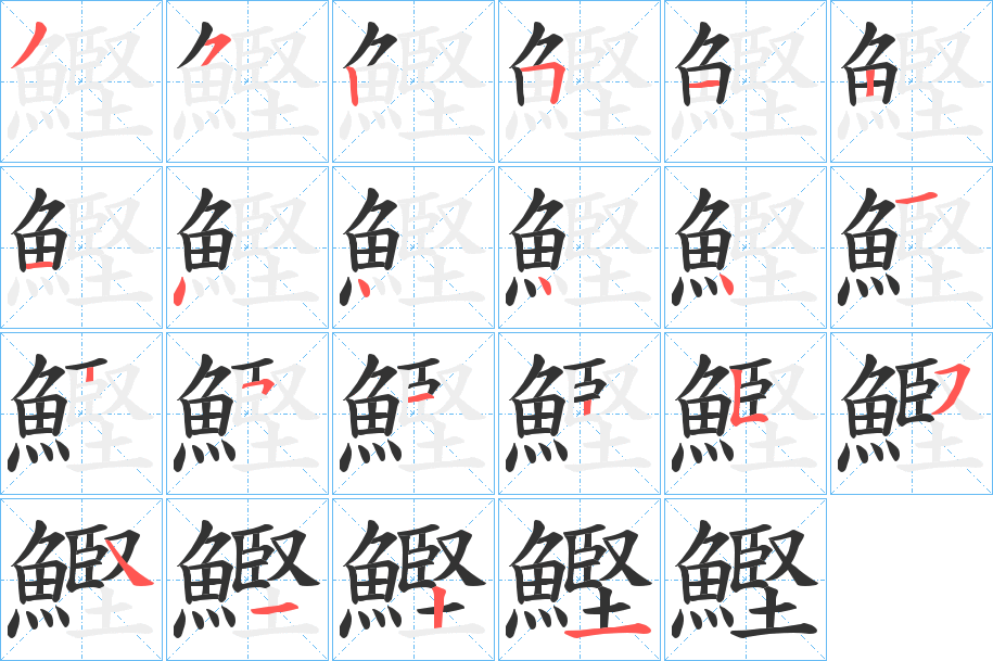 鰹 鰹
