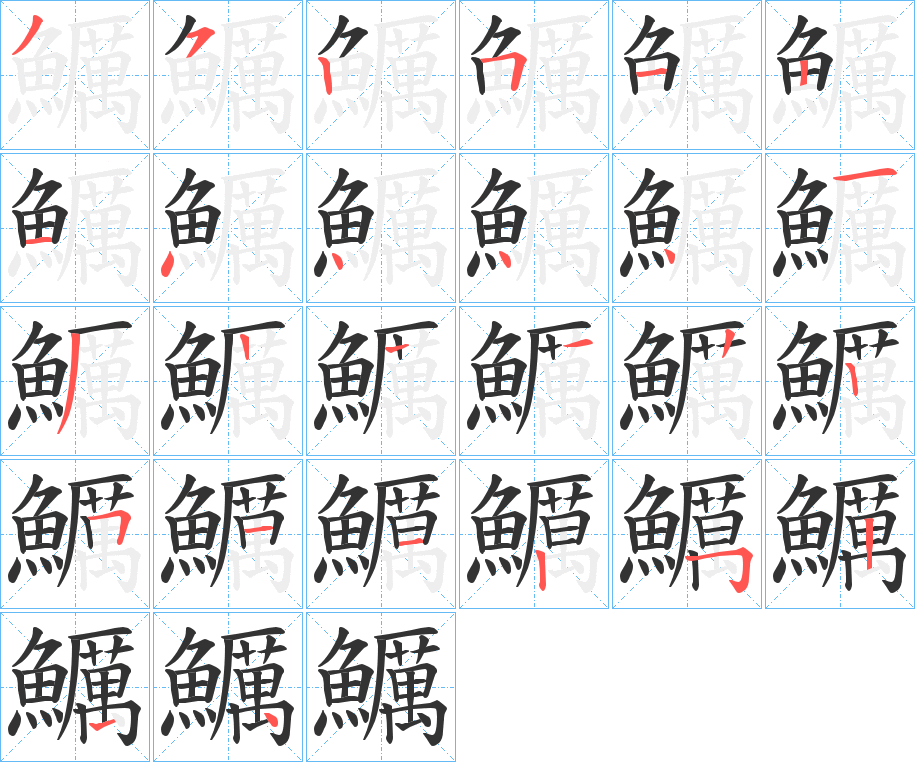 鱱 鱱