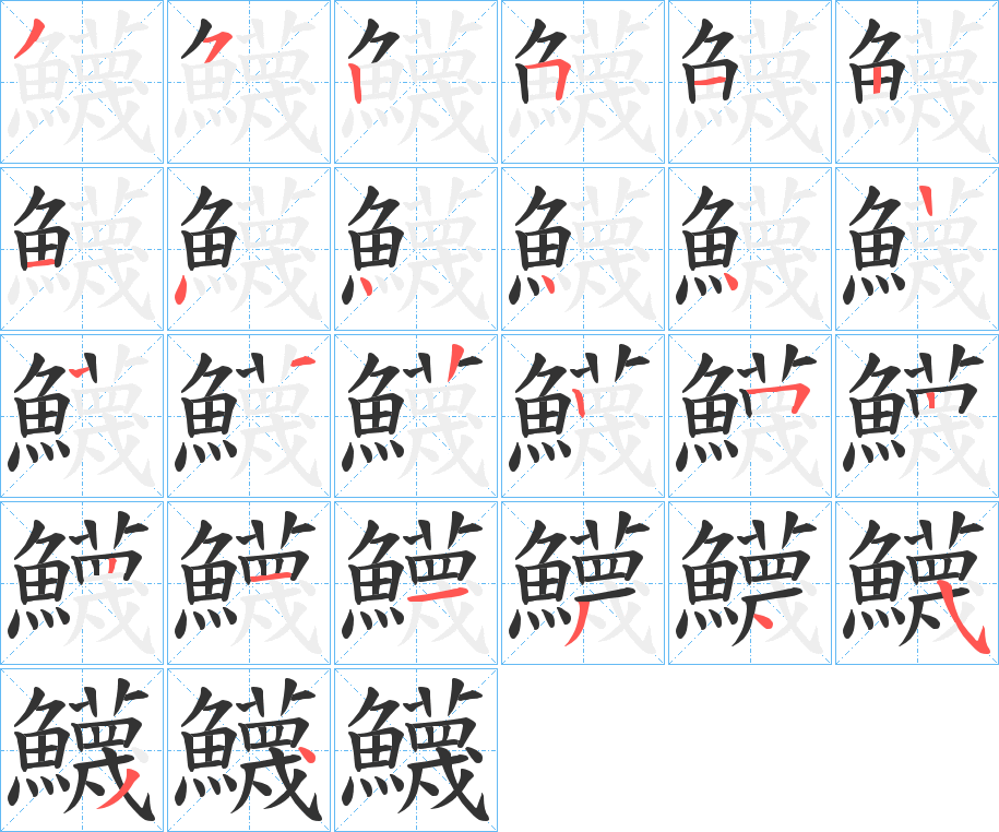 鱴 鱴