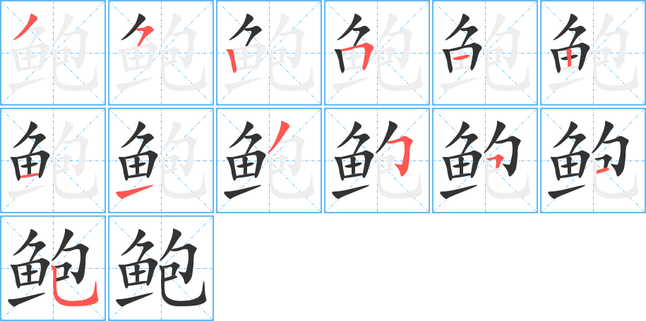 鲍 鲍