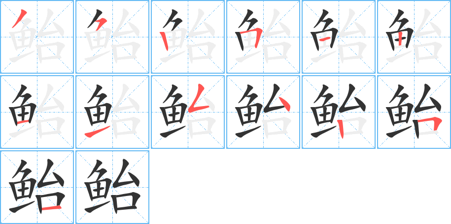 鲐 鲐