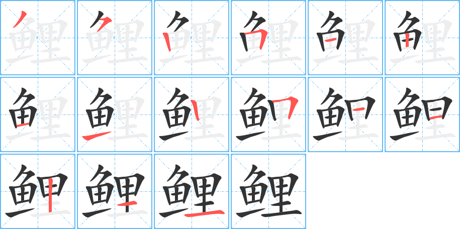 鲤 鲤