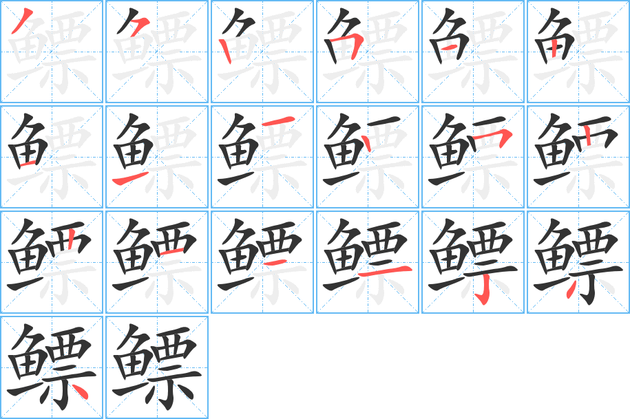 鳔 鳔