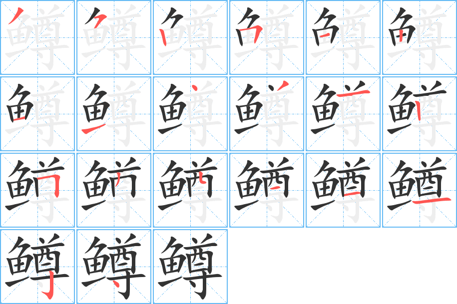 鳟 鳟