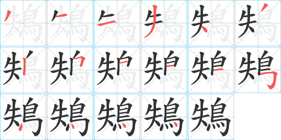 鴩 鴩